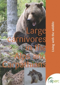 Large carnivores in the Alps and Carpathians: Living with the wildlife