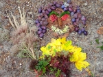 Discover the winners of the “Land Art & Photo” contest
