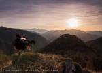 Fotografare il parco – Internationaler Naturfoto-Wettbewerb