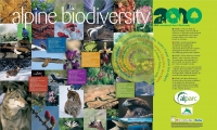 Alpine biodiversity - The Colors of Life, our Future in the Alps