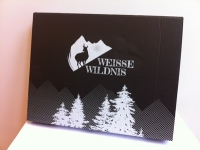 White Wilderness