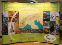 The Alpine protected areas – Together for the Alps