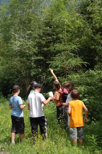 Climate & Education: take part in a participative project with your park