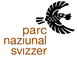 logo PNS