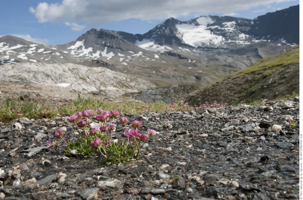 climate change in the alps photo 2