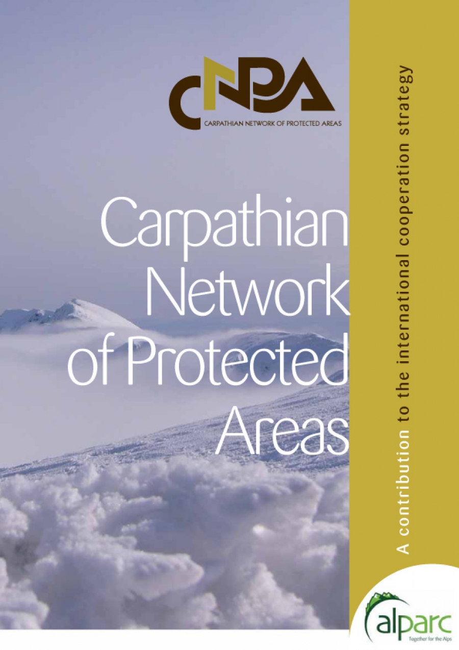 CNPA: A Contribution to International Cooperation Strategies