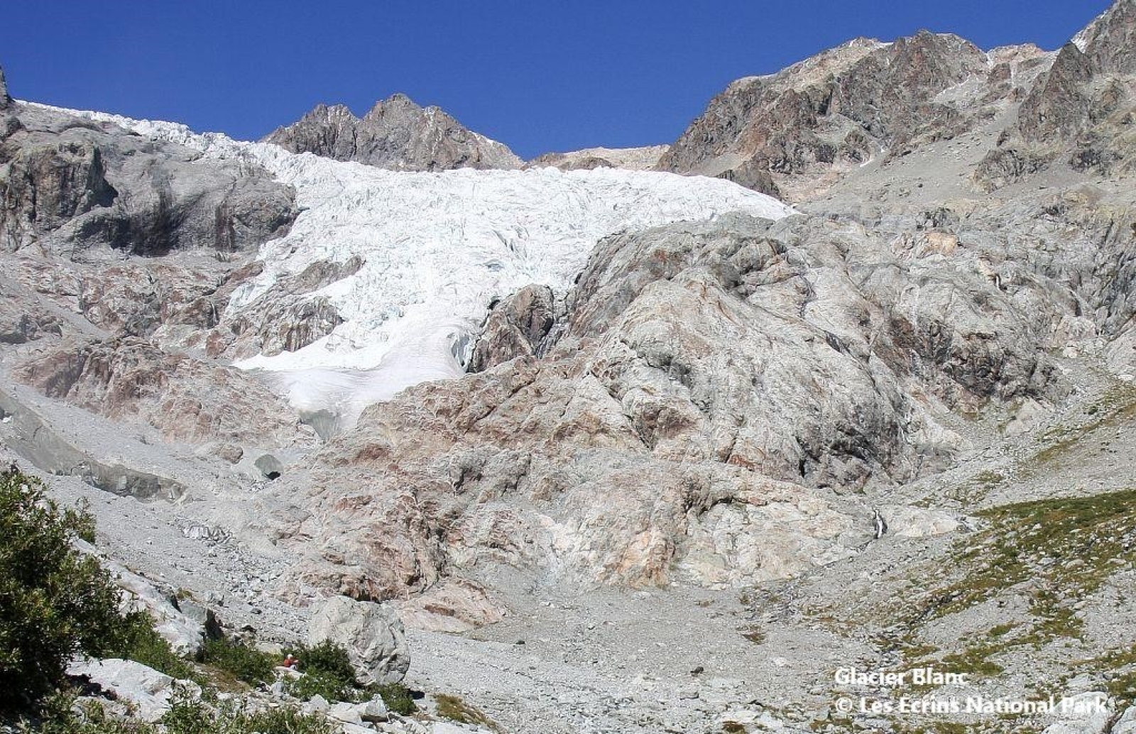Remaining glacier areas in Alpine parks