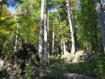 Wilderness Area doubles its size