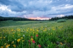 Booklet of good practices for the sustainable management of mountain grasslands