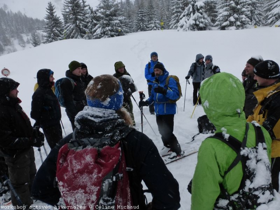 Sports de neige et faune sauvage : lancement d’un groupe de travail à l’échelle des Alpes