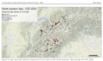 News from the Bearded Vultures in the Alps