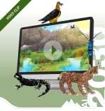 Alpine Parks 2030 Video Clips