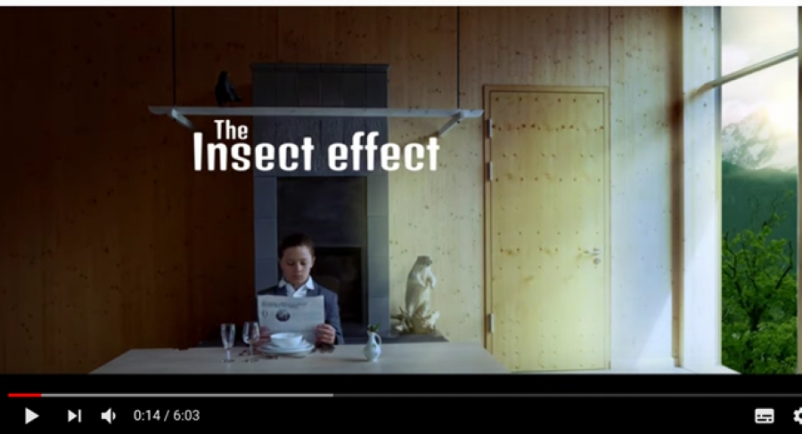 YOUrALPS film “The Insect effect” awarded at the REC-Filmfestival Berlin