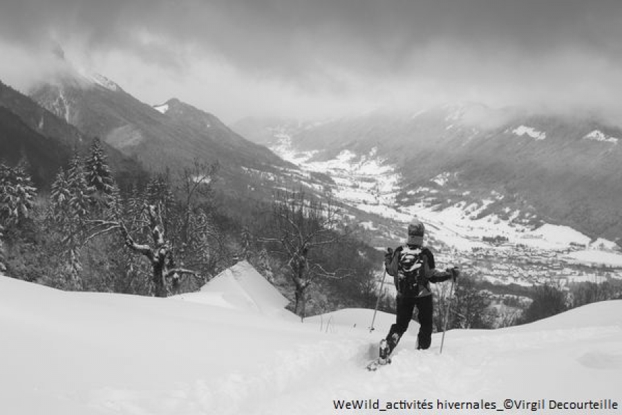 Disturbance of wildlife in winter: developing increased awareness among outdoor sports practitioners in the Alps